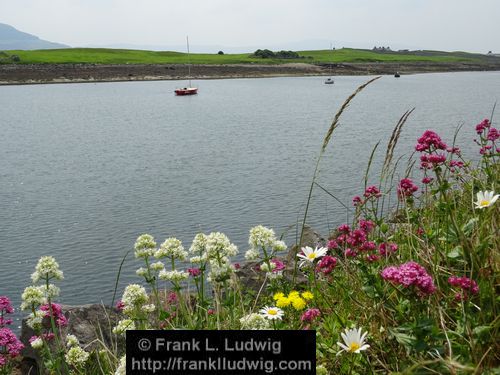 Rosses Point